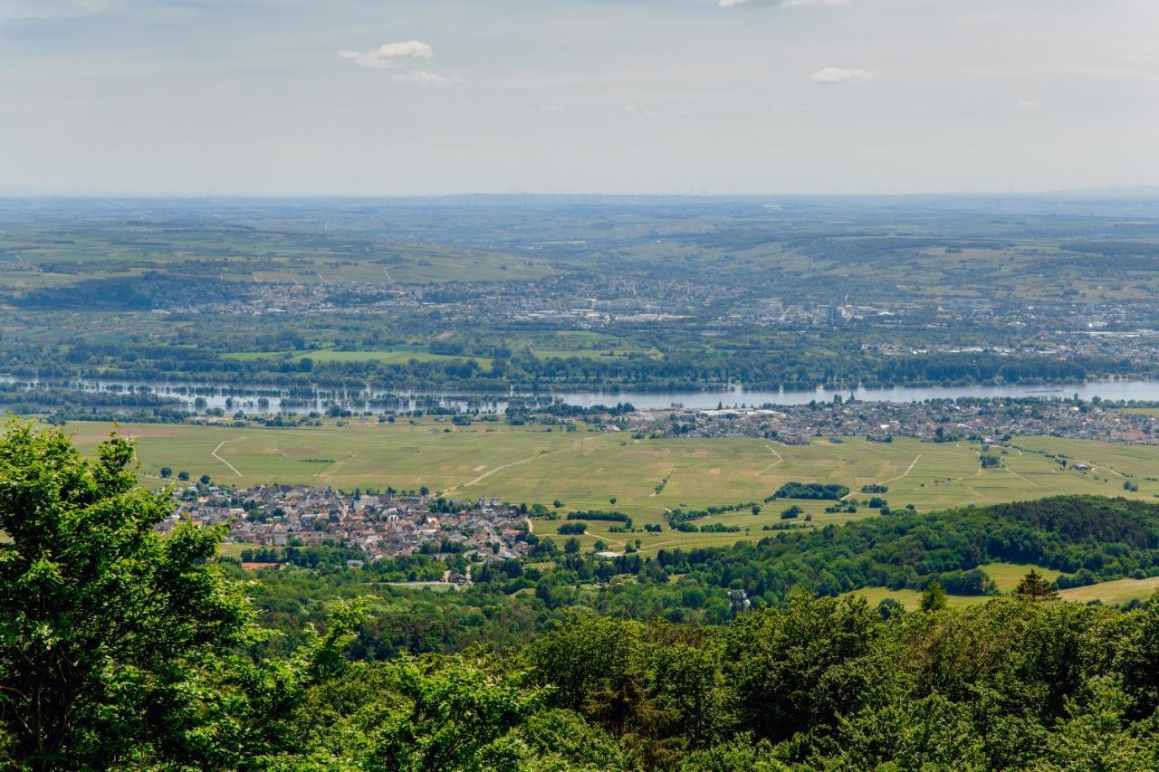 Hallgarter Zange โอสตริช-วินเคิล ภายนอก รูปภาพ